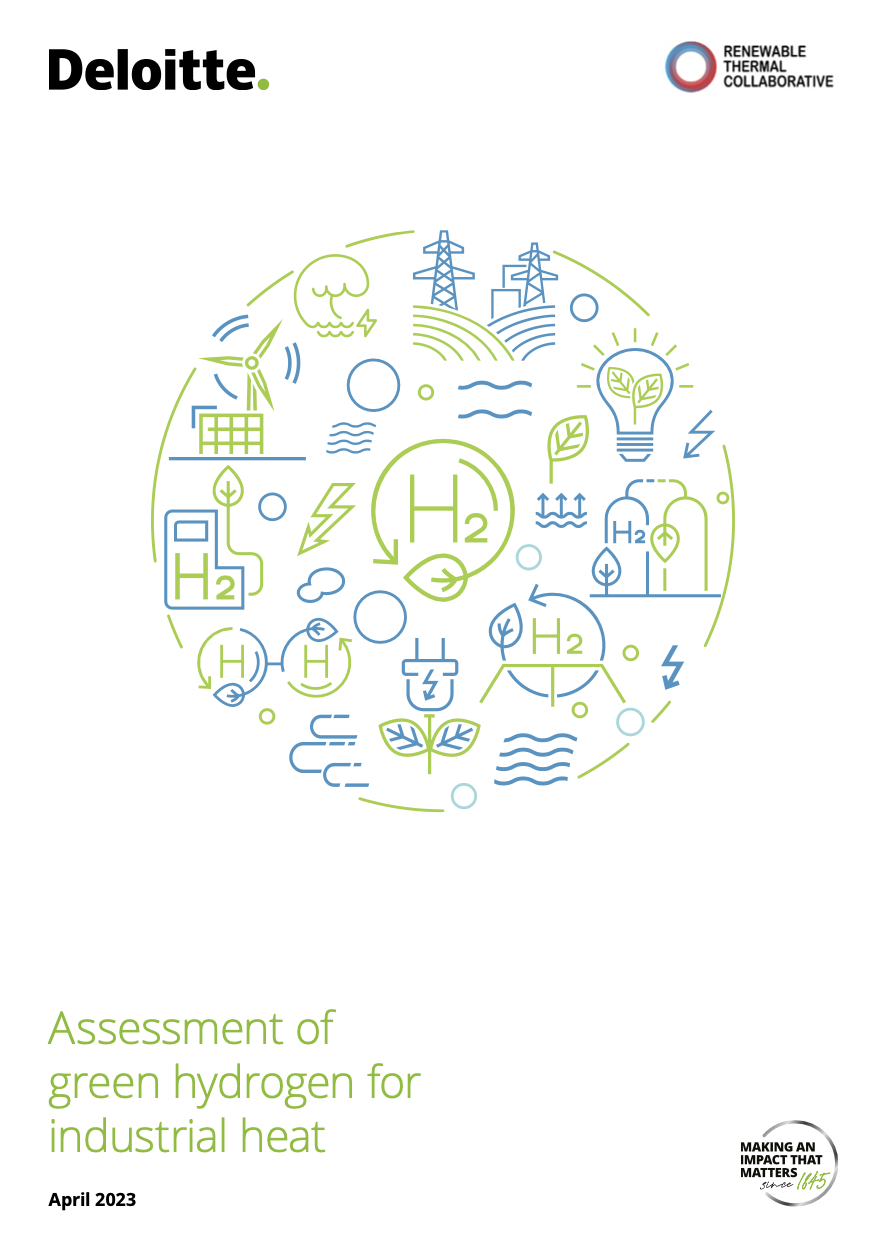 Green Hydrogen Technology Assessment